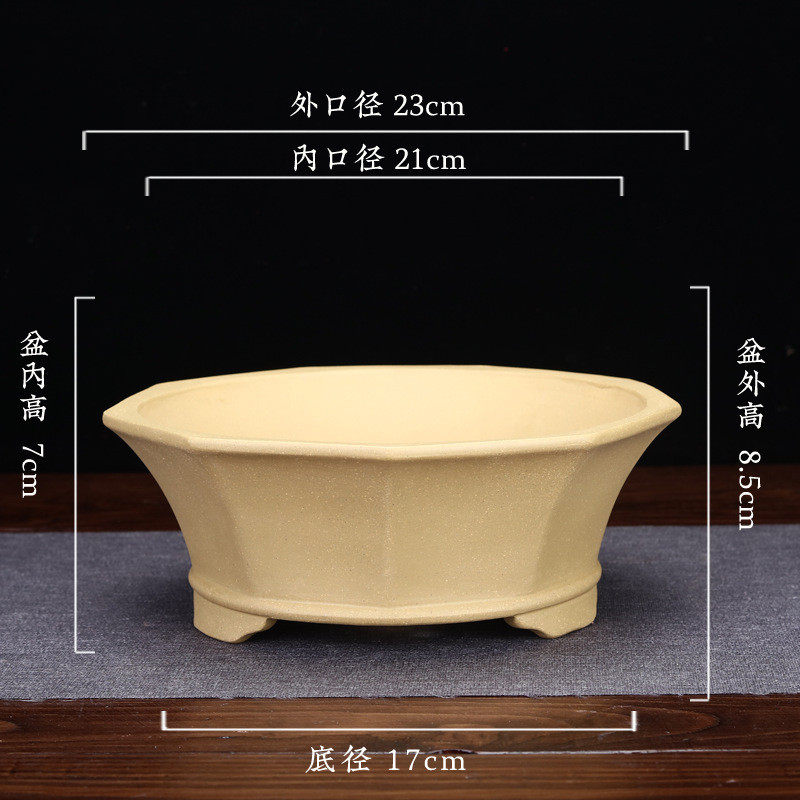 宜兴紫砂花盆兰花盆君子兰春蕙兰花盆