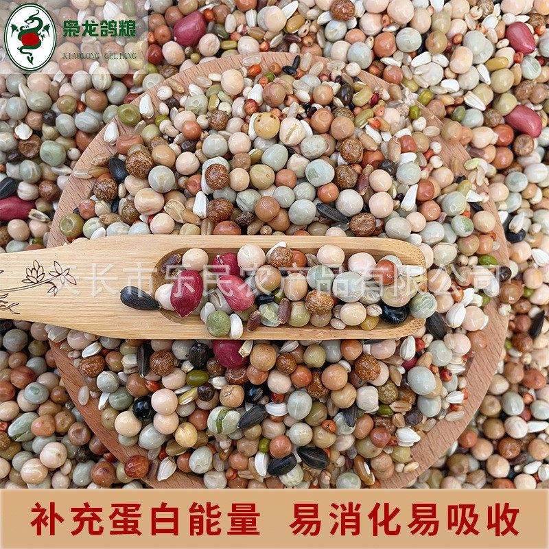 枭龙鸽粮幼鸽a2赛鸽信鸽斤营养饲料鸟食鸽子食50观赏鸽
