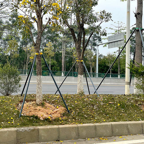 镀锌管树木支撑杆防风支架绑带式树木支撑支架园林绿化苗木固定器