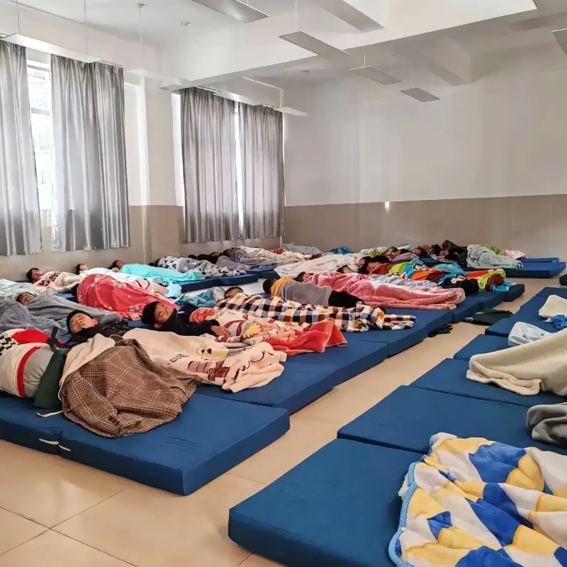 懒人折叠床垫办公室床垫学生咖床垫加厚打地铺榻榻米浅午休色
