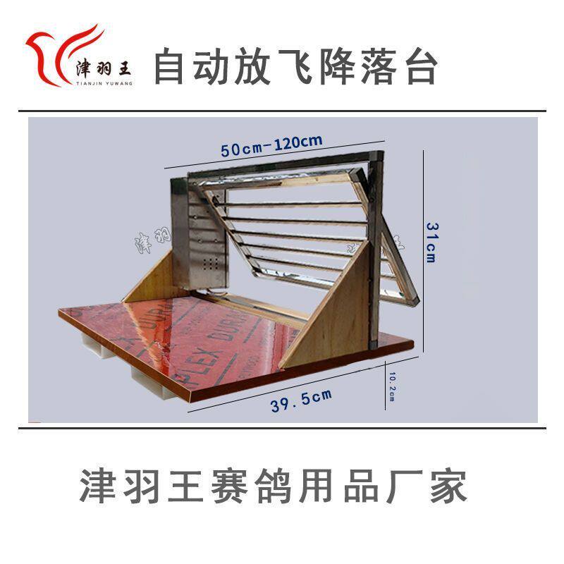 鸽子用品台降落用具信鸽自动门进门器放飞门跳笼培养鸽笼撞门