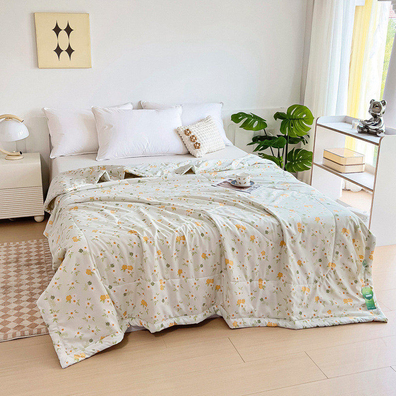 加工新品礼品新款水洗棉夏被凉感空调被薄款200*230被子双人午