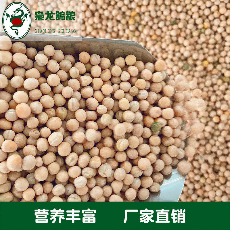 枭龙鸽粮大白豌豆50斤浙江鸽信鸽鸟食赛沪皖包邮