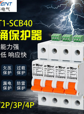 腾泰热销40KA4PSCB-SPD浪涌后备保护器40A避雷断路器电涌保护器