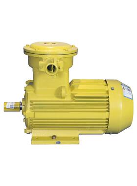 南阳永磁防爆电机TBYBP-200L1-2/30千瓦隔爆电动机2-30KW380V BT4