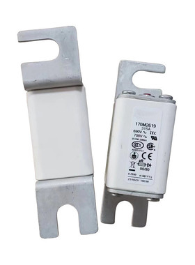 热销170m2619170m2620170m2621直流熔断器直供库存现货电子元器件