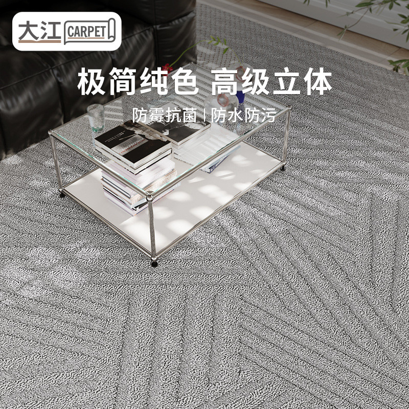 浮雕硅藻丝防水抗污地毯客厅简约风轻奢高级卧室沙发素色家用耐脏