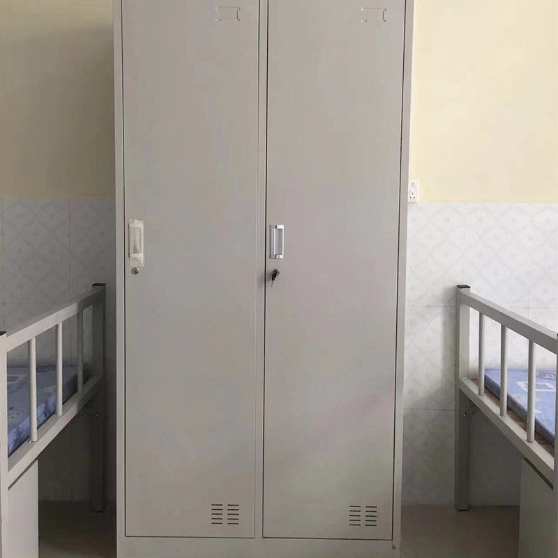 宿舍铁皮储物柜二门衣柜二门钢制办公室文件柜加厚员工衣柜储物柜
