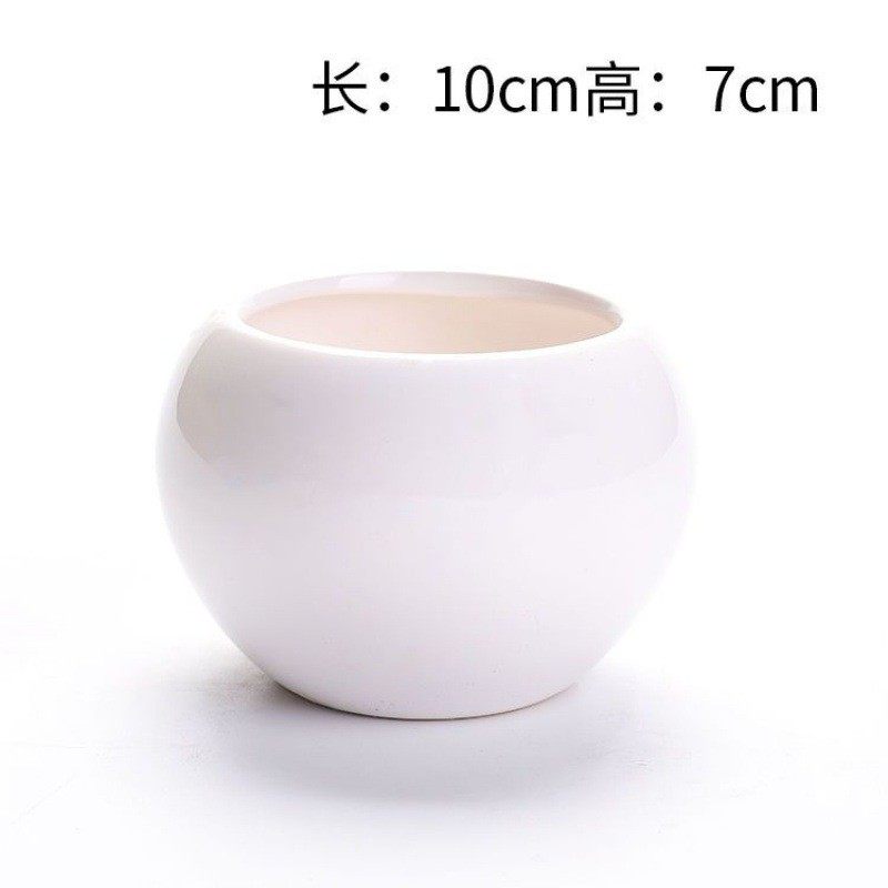 带绿植花盆陶瓷小花盆托盘多肉创意肉肉简约室内中小特大号,鲜花速递/花卉仿真/绿植园艺,花盆,淘宝优惠券,粉丝福利购,淘宝优惠卷