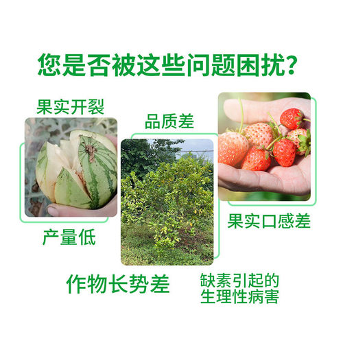 绿陇中量元素水溶肥钙镁硼锌铁叶面肥蔬菜果肥料防裂果膨液体肥