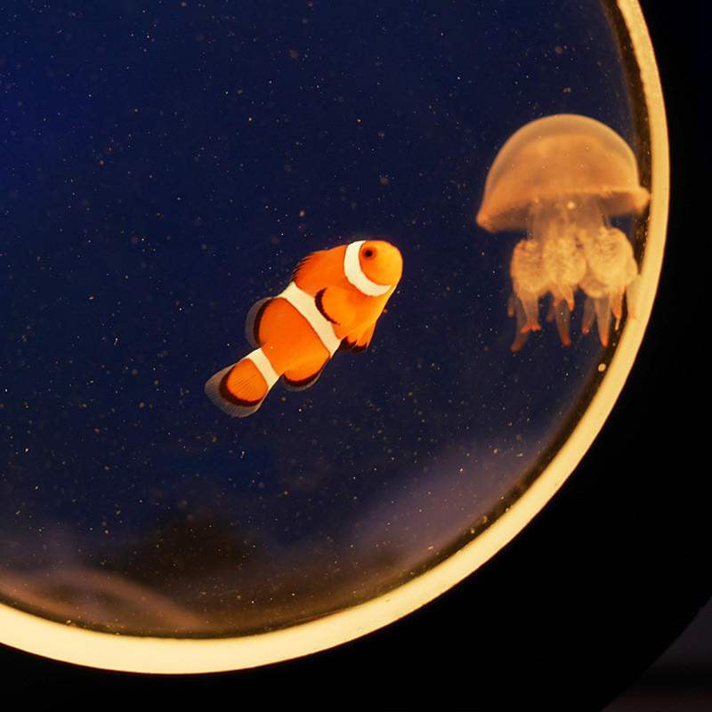 小型水族箱全套前台灯光球小丑鱼温水水族馆海水鱼海藻可插电水母