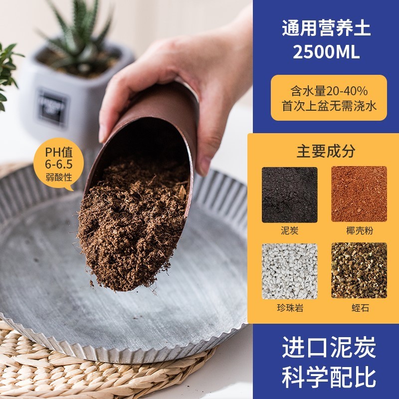 仙人掌小花盆陶瓷带托盘可爱小白盆小号白色长方形多肉多肉盆直销