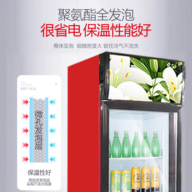热销单门饮料柜商用双门立式冰箱水果蔬菜超市冷藏保鲜风冷展示柜,大家电,冷柜/便携冷热箱配件,淘宝优惠券,粉丝福利购,淘宝优惠卷
