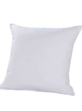 1F131F1313F3靠垫芯 方枕芯 抱枕芯 40 45 50 55 60 65 靠枕芯其