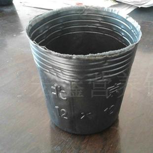 袋批发一次性秧苗育苗杯黑色塑料育苗盆花卉种植营养钵