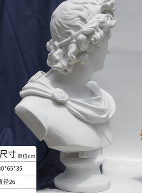 几何体罗石膏胸像画室石膏像美术教具石膏头像大卫阿普石膏雕塑