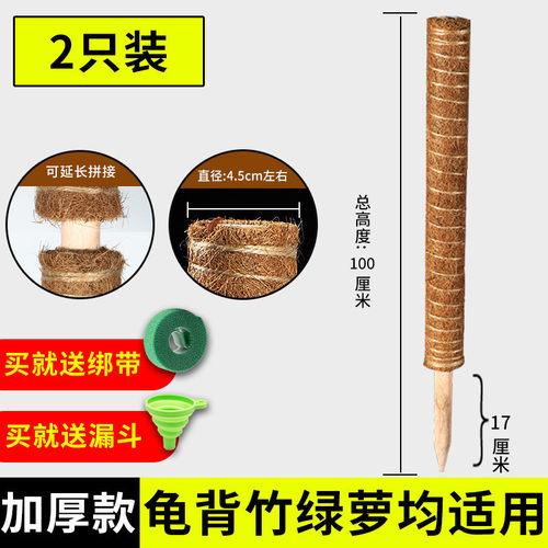 椰丝棒绿箩固定架架支撑杆棕榈植物爬藤柱椰棕绿萝花攀爬柱龟背竹