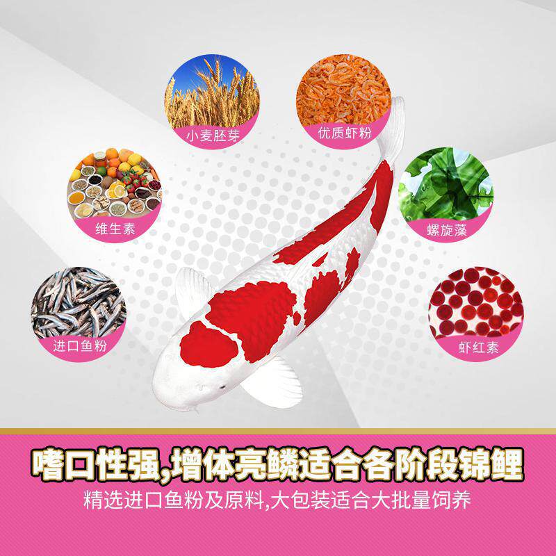 寸金红叶育成配方营养性饲料鱼粮锦鲤饲料锦鲤浮饲料锦鲤鱼食鱼粮
