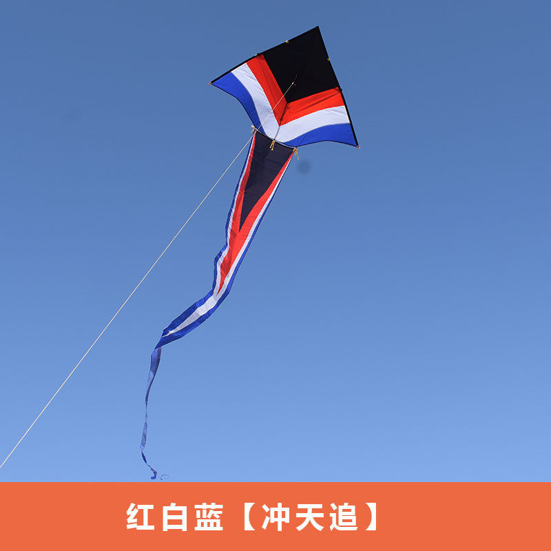 冲天追风筝微风易潍坊风筝飞专业风筝带尾飘个性风筝大特大号风筝