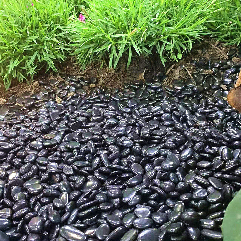 铁胆石黑工造景虾缸水族水培装饰石子底沙园艺铺面沙鱼用铁胆砂