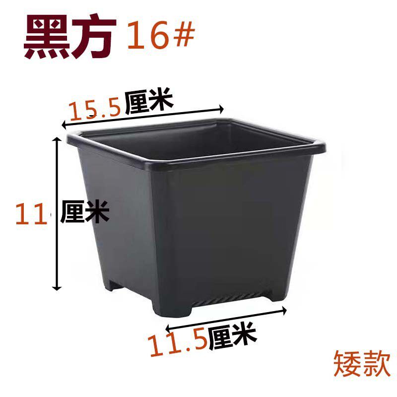 景天盆黑方白方多肉厂家批发多肉盆育苗盆基地花盆电商基地用