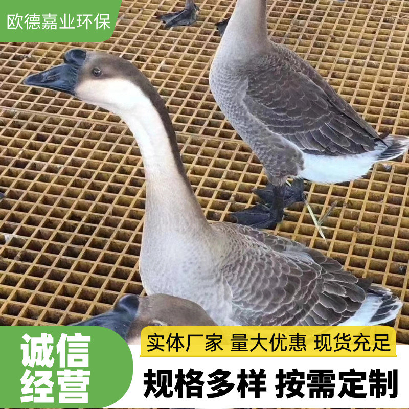 玻璃钢树坑排水沟树篦子玻璃钢格栅
