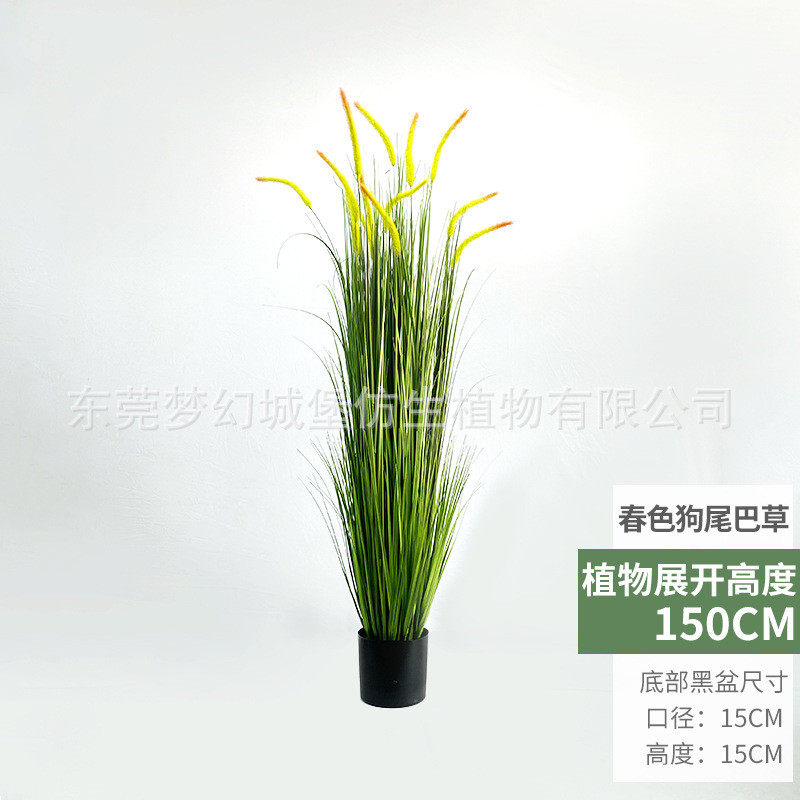 干花蒲苇草假花绿植盆栽婚庆狗尾巴草家居装饰摆件仿真花仿真芦苇