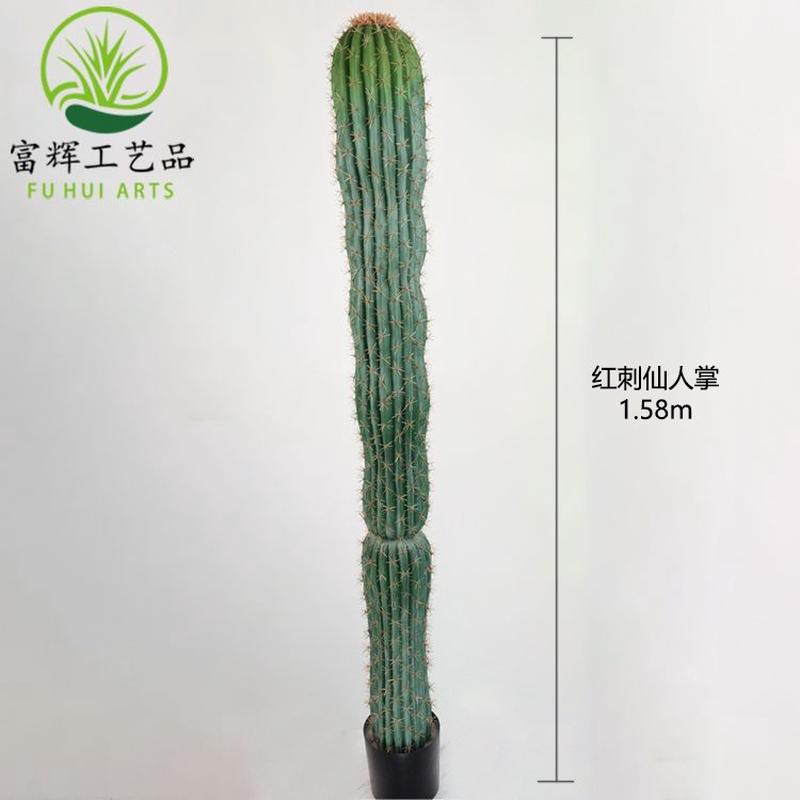 批发沙漠仿真仙人掌花仙人柱绿植盆栽组合造景植物道具摆件热带