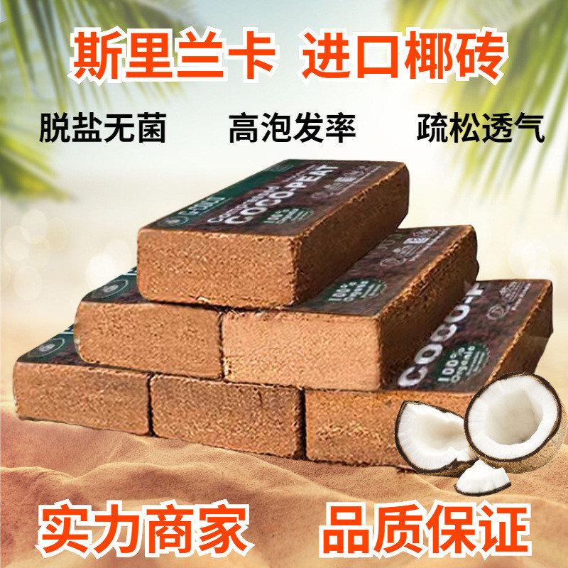 纯进口椰砖营养土脱盐椰糠通用椰土养花种菜专用现货批发绿植