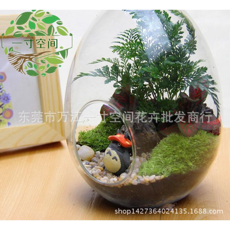 苔藓微景观鸡蛋瓶diy微景观创意礼品套装摆件