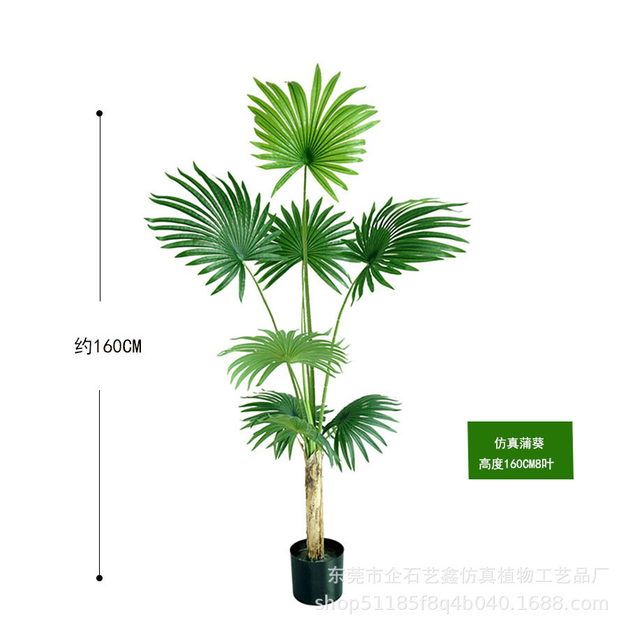 热带大型仿真绿植加州蒲葵落地棕客厅装饰摆件盆栽葵假树植物盆栽