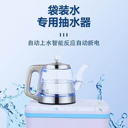 袋装水抽水机即热式手柄上水饮水机加热车载电动抽水器小型取水泵