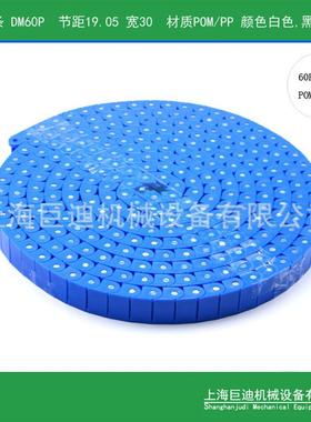 上海厂家供应腐蚀输送工程链条rs60p聚丙烯pp材质蓝色输送链条