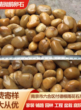 原产地黄色精抛鹅卵石精品抛光黄色园林景观石子铺地黄色雨花石