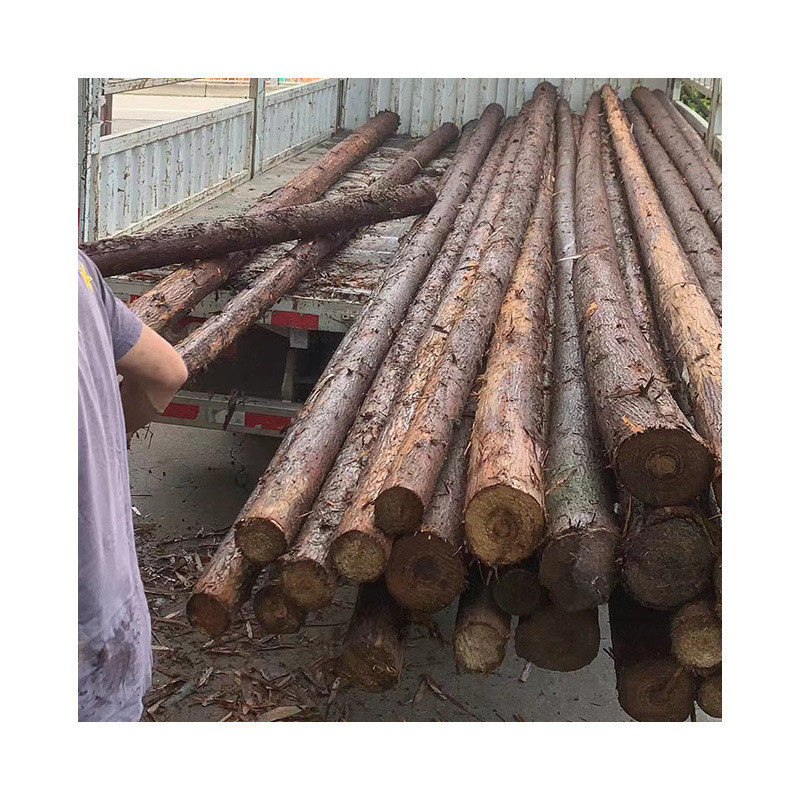 批发实木原木杉护建筑柱子房梁防洪木桩装饰装修隔墙吊顶户外木原