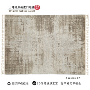 土耳其地毯客厅轻奢高级现代简约卧室茶几毯耐脏可水洗地毯