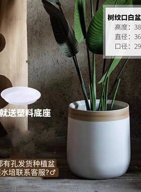 景德镇现代绿北欧高级感白色盆摆件花瓶陶瓷花盆植大口客厅插花