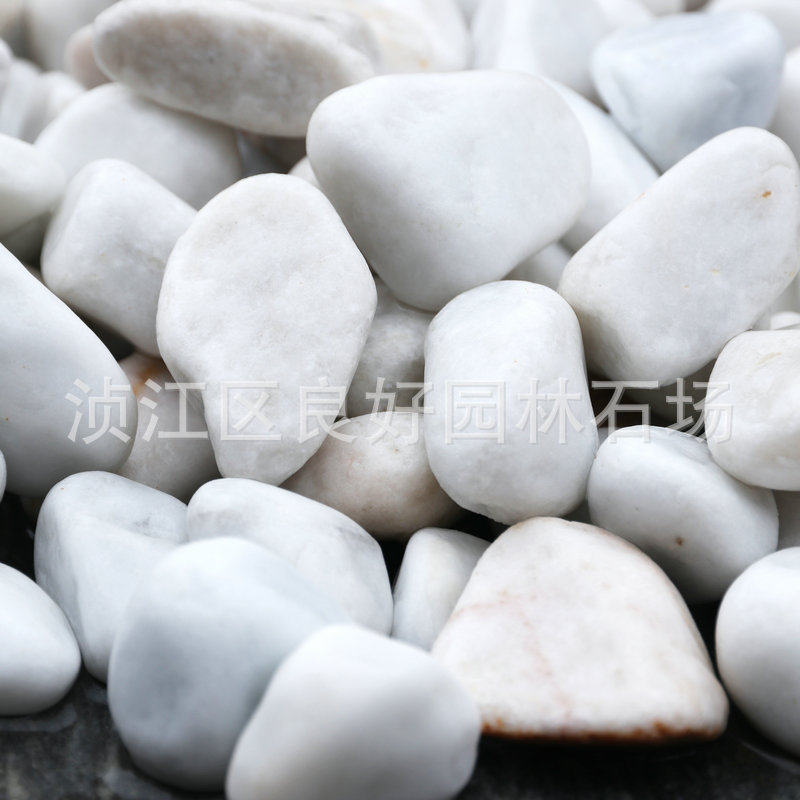 公分厂家批发3-5广东白色鹅软石小雨花石鹅卵石头铺地按摩鹅暖石