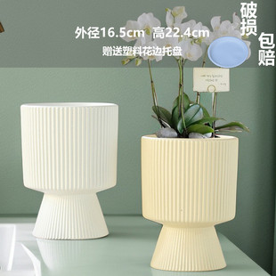 网红爆款蝴蝶兰花盆专用陶瓷兰花花盆简约白色多肉花盆