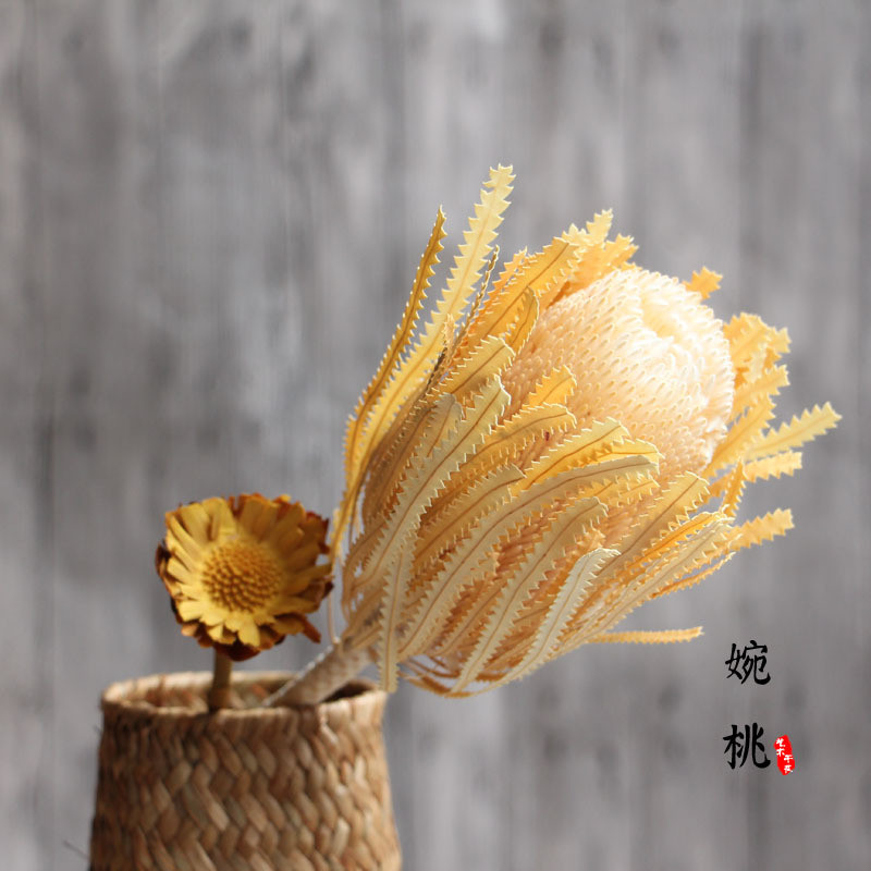 工厂店【班克木】干花花束宫廷真南非艺术非洲干树枝摆件软装家装