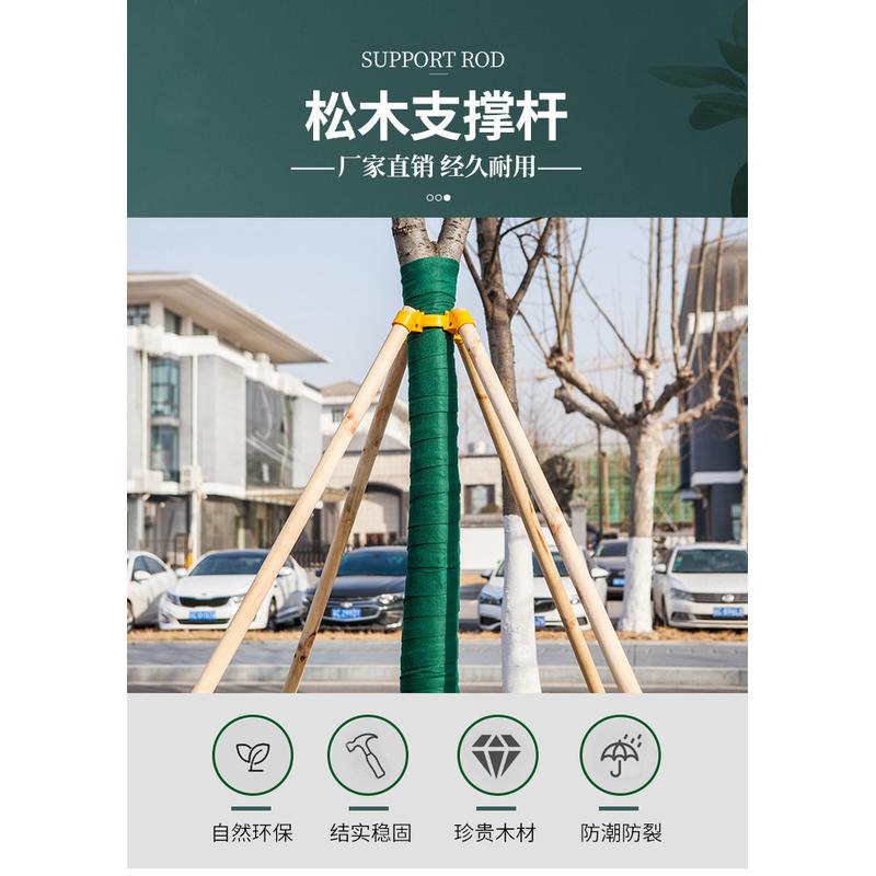 杨木支撑固定器支撑架杆杉木松木杨木棍园林绿化防风防倒稳定树木