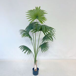 仿真客厅落地加州蒲葵仿真绿植盆栽热带圆叶扇葵树绿植摆件