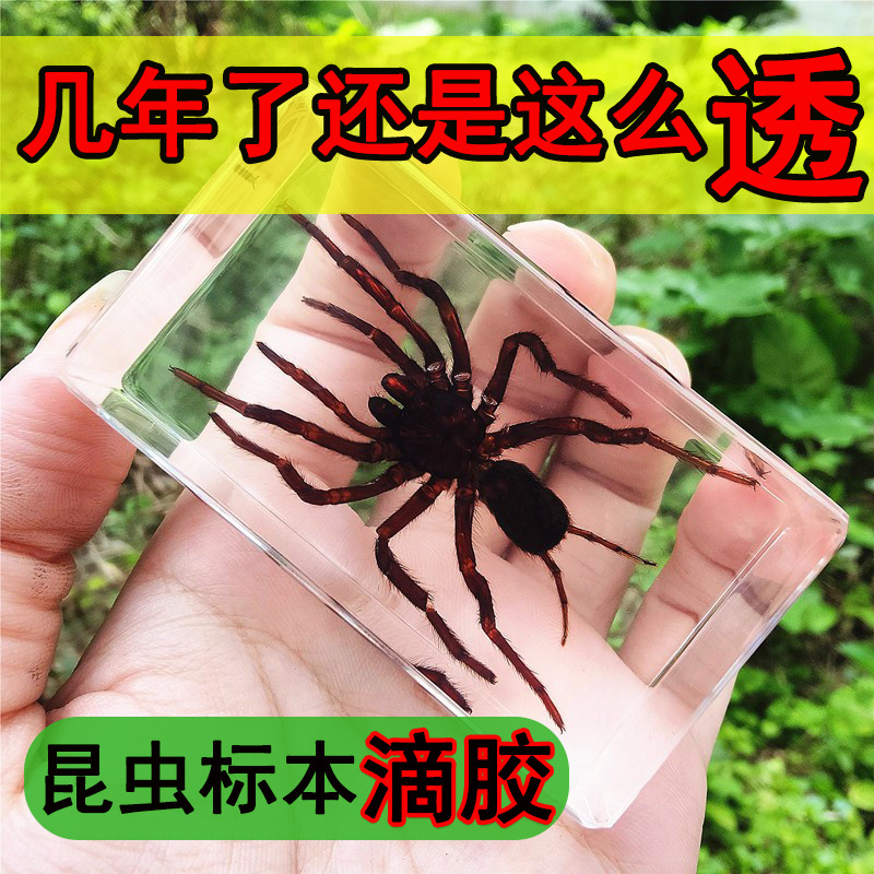 卡速特昆虫形树脂胶AB水晶滴胶手工DIY材料模具蝴蝶标本树脂胶
