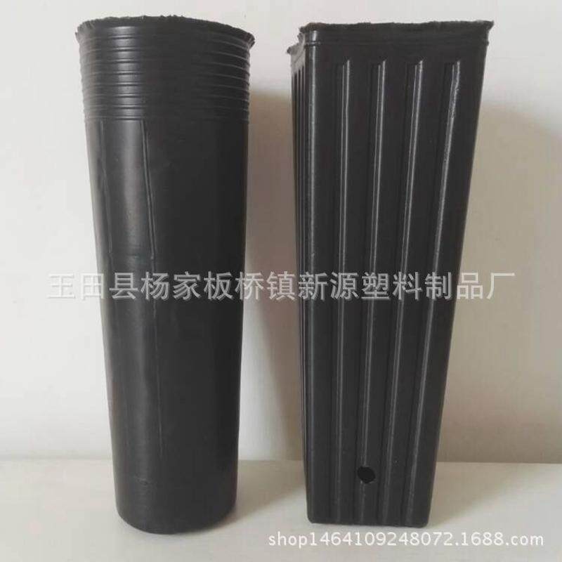 营养杯营养钵批发育苗钵细高型12x25柑橘加厚育苗杯