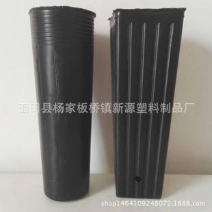 加厚营养钵批发育苗柑橘细高型12x25钵营养杯育苗杯