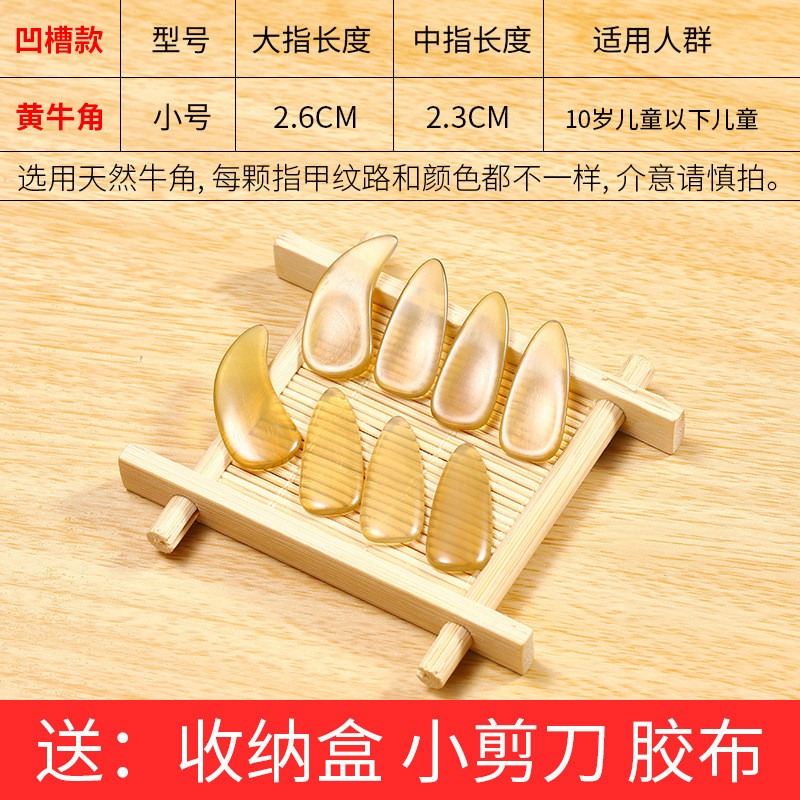 古筝指甲天然演奏级专业牛角儿童初学者小号中号幼儿薄款凹槽专用