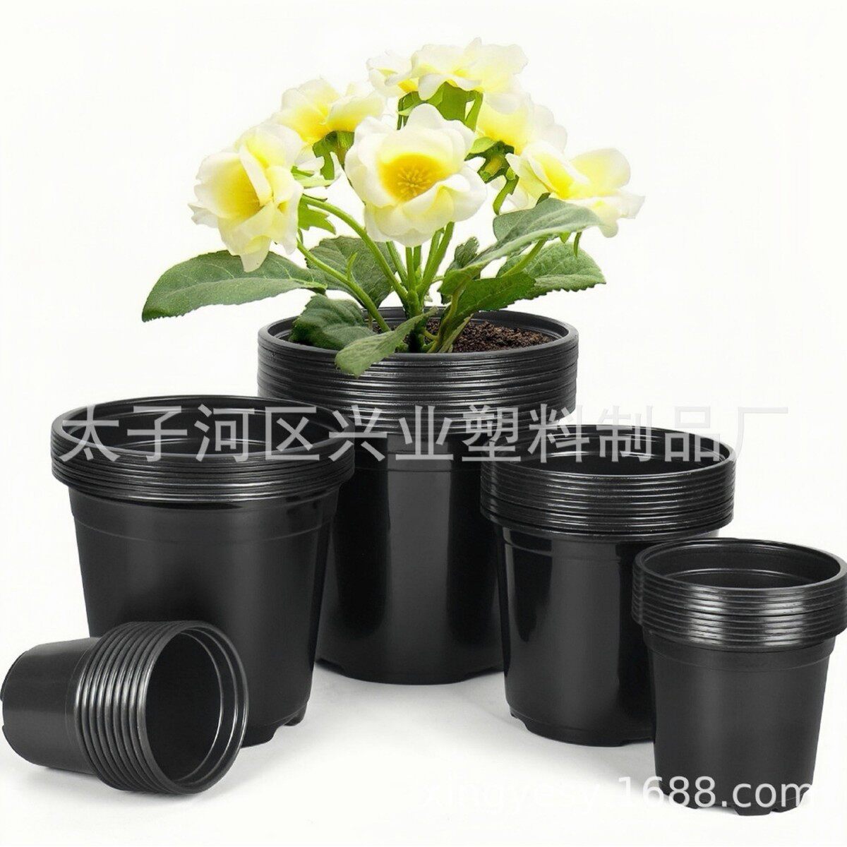黑色塑料多肉盆花盆瓜果蔬菜培育育苗盆育苗塑料双色花盆包邮