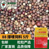 枭龙营养88撑嗉饲料赛鸽信鸽鸽粮饲料鸽子食5斤浙江沪皖 包邮