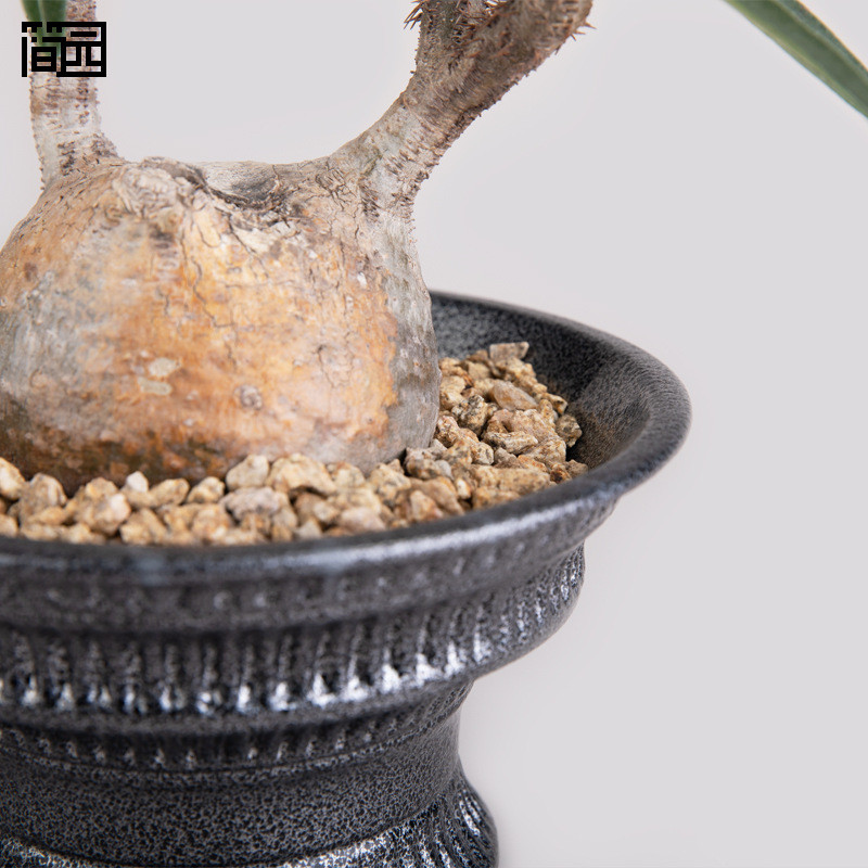 简园「圣杯」藏银色金属釉敞口收腰陶瓷花盆沙生块根植物花盆盆