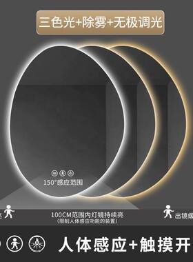 l智能镜1led浴室镜不规则卫生间椭圆挂墙式洗手台灯镜黎